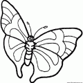 dibujo-de-mariposa-113