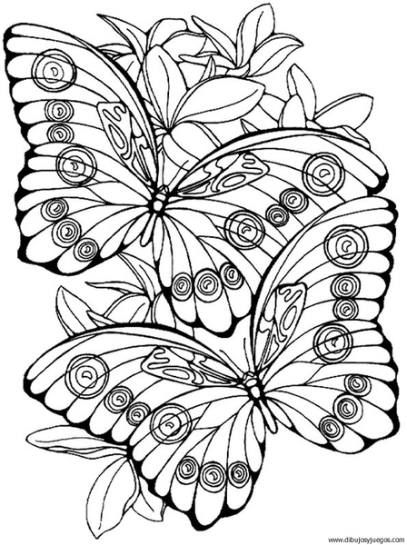 dibujo-de-mariposa-116.jpg
