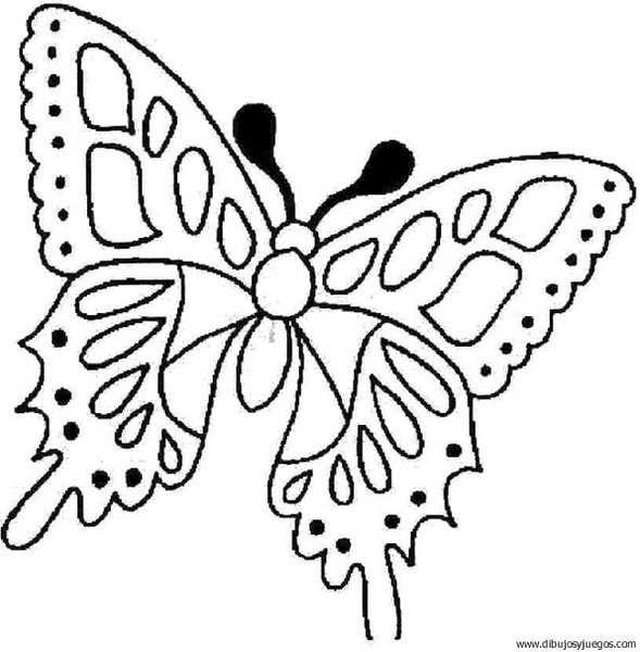 dibujo-de-mariposa-118.jpg