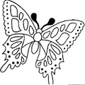 dibujo-de-mariposa-118