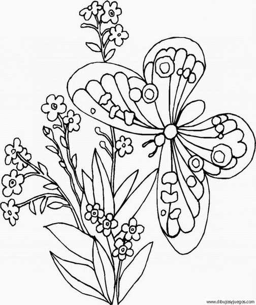 dibujo-de-mariposa-121.jpg
