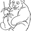 dibujo-de-oso-panda-004