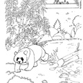 dibujo-de-oso-panda-006