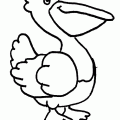 dibujo-de-pelicano-001