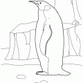 dibujo-de-pinguino-011