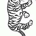 dibujo-de-tigre-009