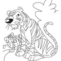 dibujo-de-tigre-029