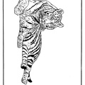 dibujo-de-tigre-031