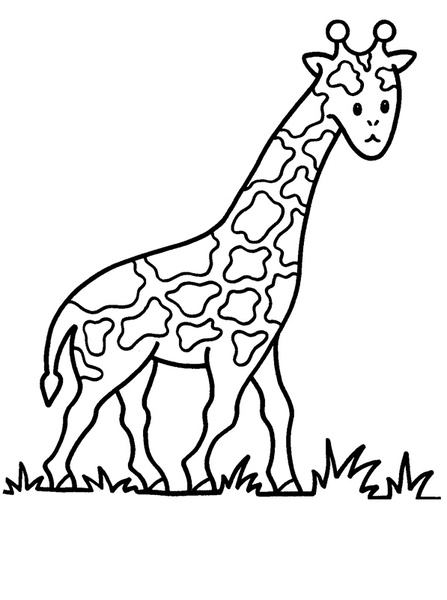 girafa-01.jpg