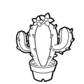 plantas-cactus-02.jpg