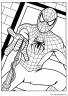 dibujos-de-spiderman-083