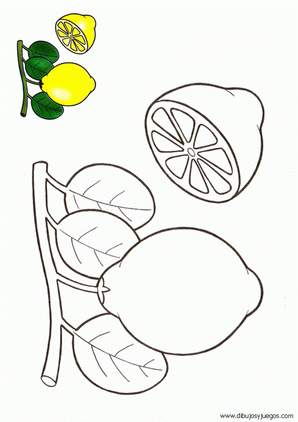 dibujo-de-limon-003.gif