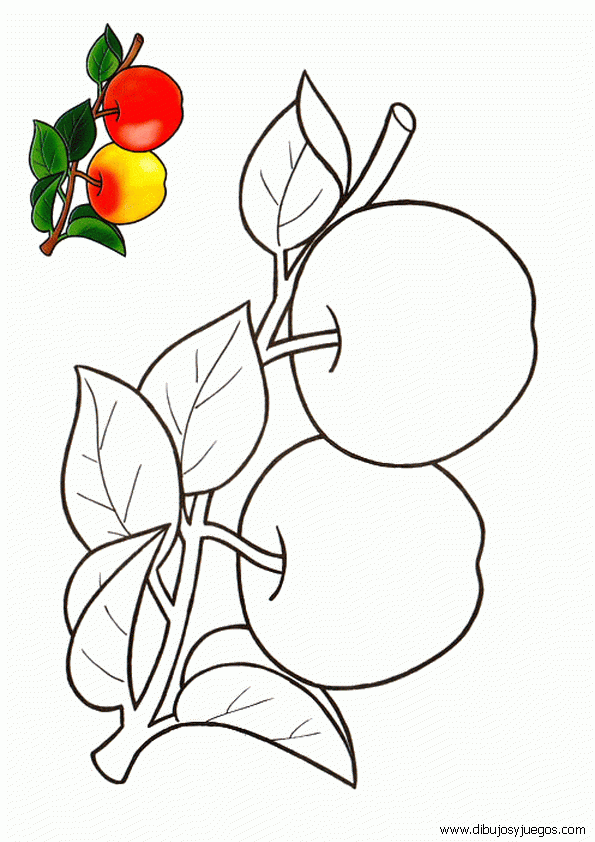 dibujos-de-manzanas-027 | Dibujos y juegos, para pintar y colorear