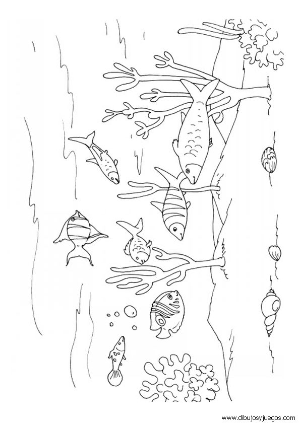 dibujos-de-animales-marinos-013.gif