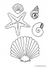 dibujos-de-animales-marinos-008