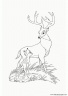 bambi-disney-054