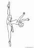 bailarinas-ballet-051