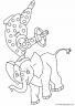 circo-animales-elefante-008