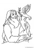 dibujo-de-la-biblia-036-noe-y-paloma-olivo