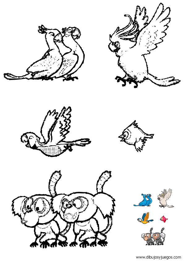 dibujo-angry-birds-003 | Dibujos y juegos, para pintar y colorear