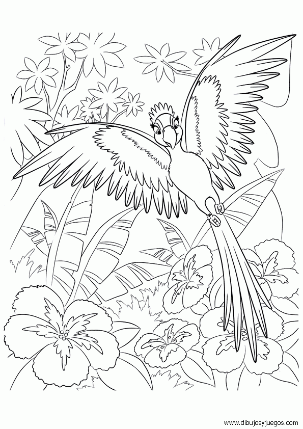 dibujo-angry-birds-044.gif