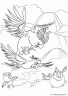 dibujo-angry-birds-032