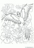 dibujo-angry-birds-044