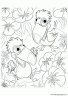 dibujo-angry-birds-046
