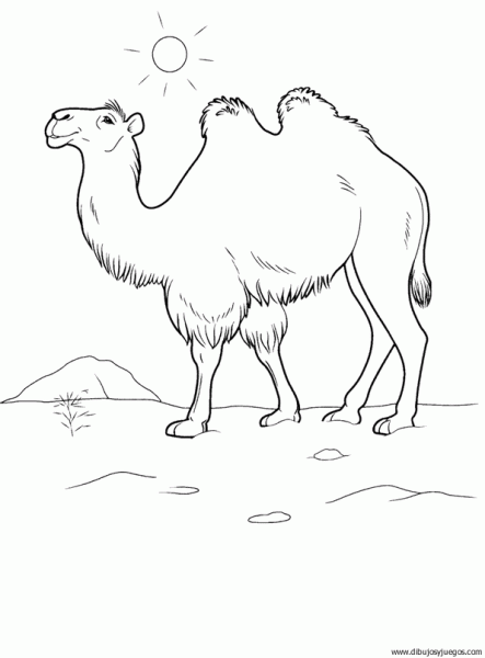 dibujo-de-camello-07 | Dibujos y juegos, para pintar y colorear