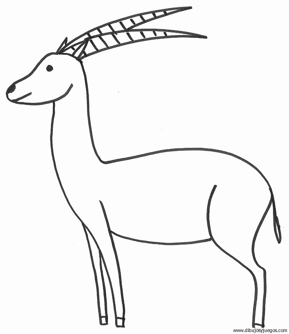 dibujo-de-antilope-02.gif