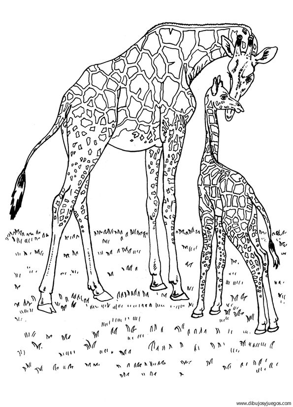 dibujo-de-girafa-018.jpg