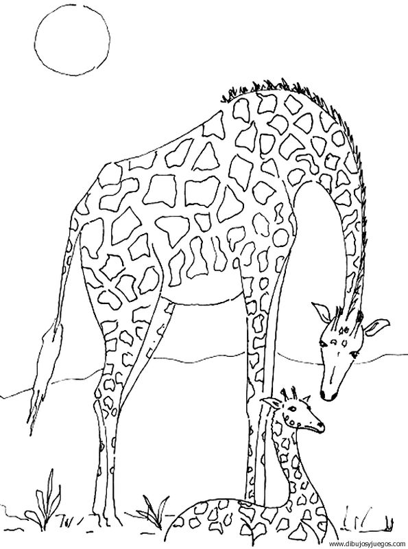 dibujo-de-girafa-027.jpg