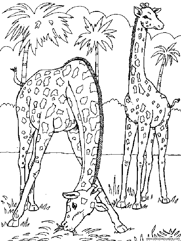 dibujo-de-girafa-030.gif