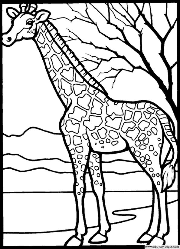 dibujo-de-girafa-045.jpg