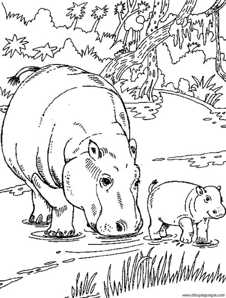 dibujo-de-hipopotamo-002.jpg