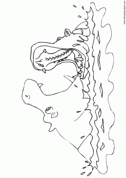 dibujo-de-hipopotamo-009.gif