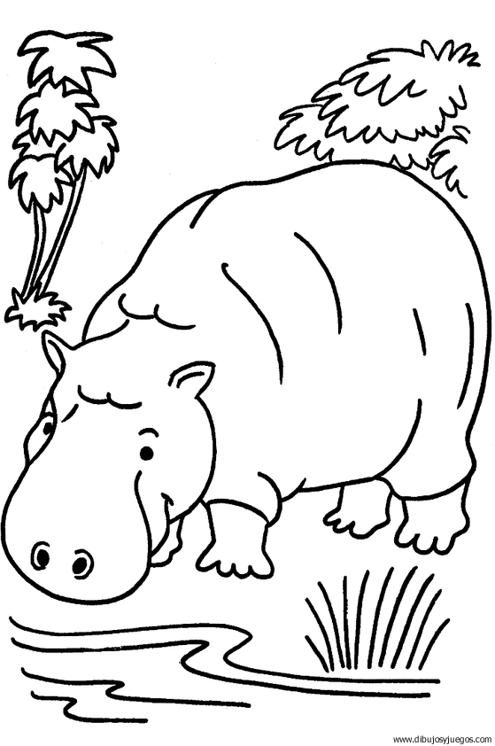 dibujo-de-hipopotamo-024.gif