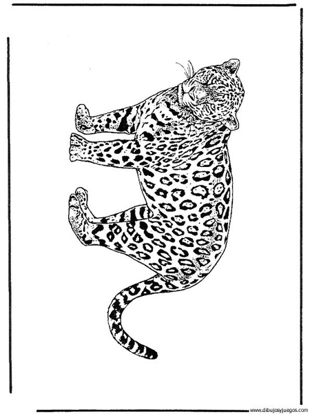 dibujo-de-leopardo-009.jpg