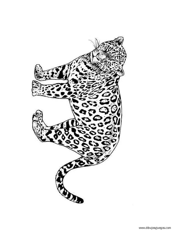 dibujo-de-leopardo-025.jpg