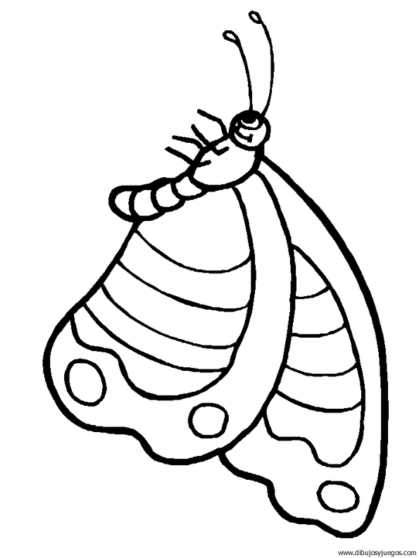 dibujo-de-mariposa-001.gif