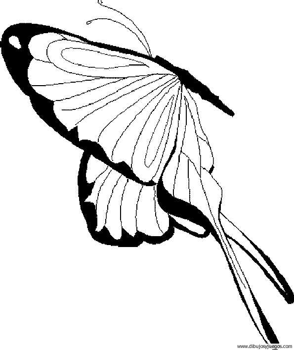 dibujo-de-mariposa-033.gif