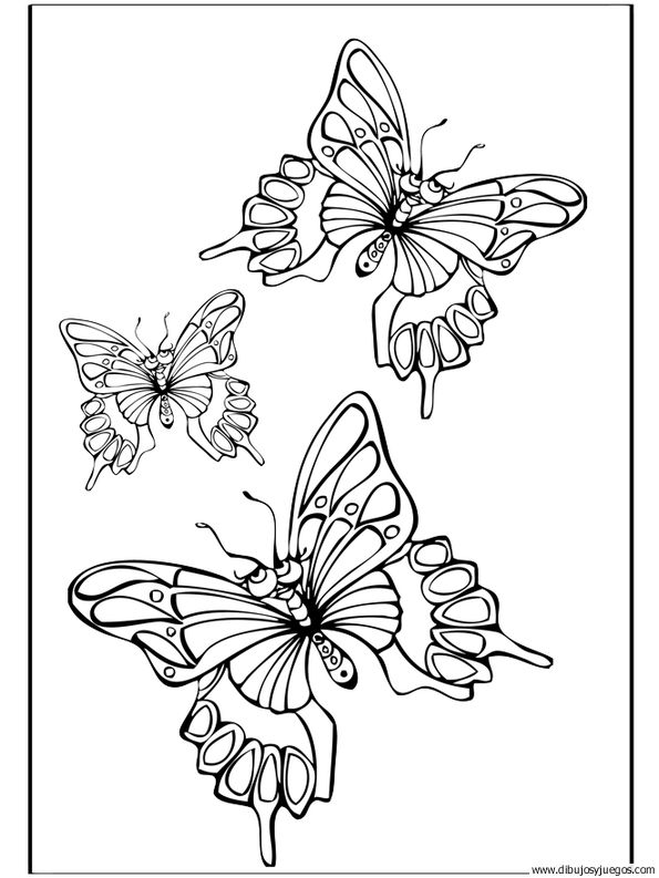 dibujo-de-mariposa-040.jpg