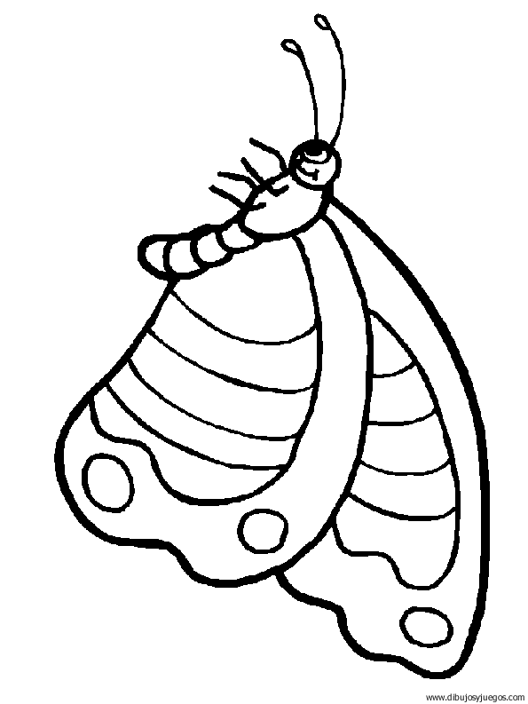 dibujo-de-mariposa-044.gif