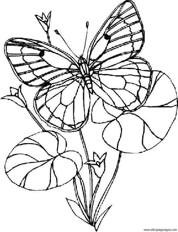 dibujo-de-mariposa-075.jpg