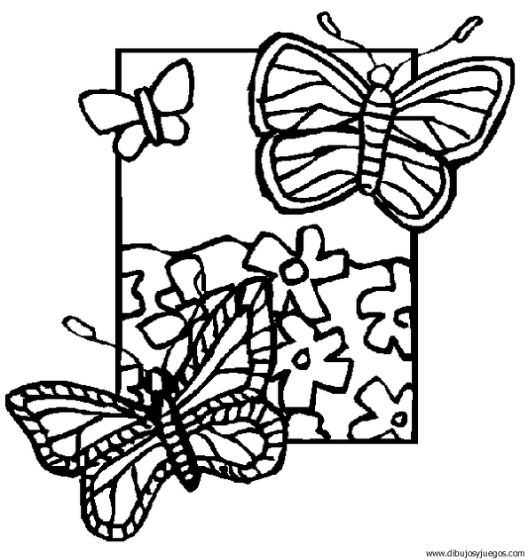 dibujo-de-mariposa-076.gif