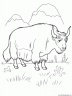 dibujo-de-bisonte-001