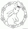 dibujo-de-conejo-024