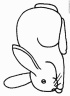 dibujo-de-conejo-022