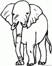 dibujo-de-elefante-006