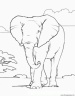 dibujo-de-elefante-024